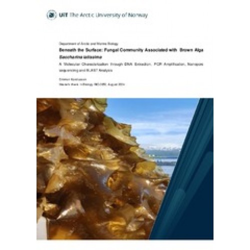 BUJİ KABLO TM.TK. POLO 1.6 AEE