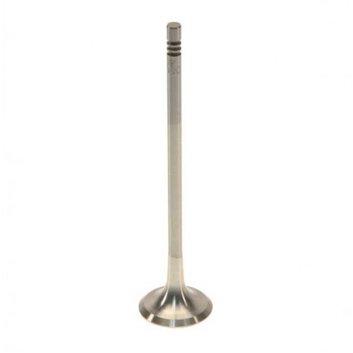 EMME/EGZOZ SUBAP TAKIMI N13