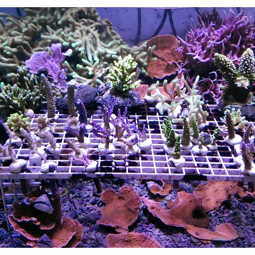 VİRAJ ASKI ROTU PANAMERA/TAYCAN 13>