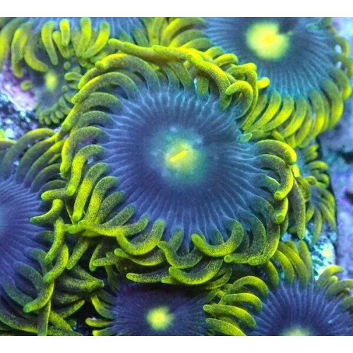 BAGAJ AMORTİSÖRÜ W124