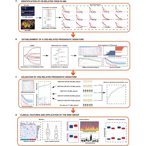 PARK SENSÖRÜ GOLF JETTA