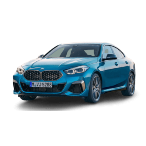 SALINCAK BURCU X1 F56