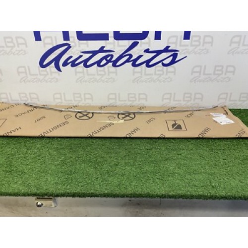 TAMPON NİKELAJI PASSAT