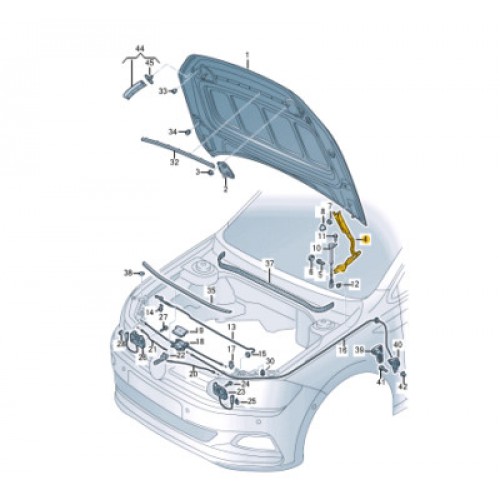 KAPUT MENTEŞESİ SOL POLO