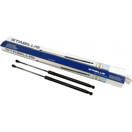 BAGAJ AMORTİSÖRÜ E53