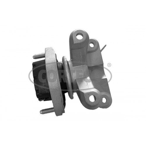 ŞANZIMAN KULAĞI A4 01>08