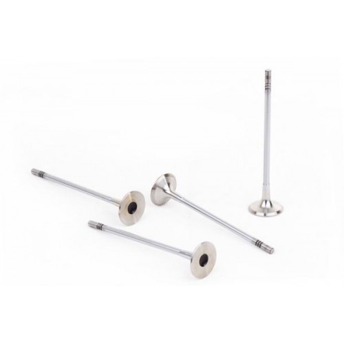 SUBAP EMME/EKSOZ TAKIM N13