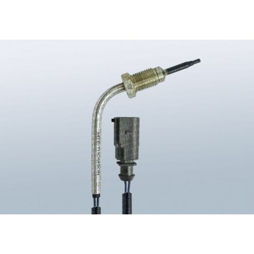 EGZOS SICAKLIK SENSÖRÜ