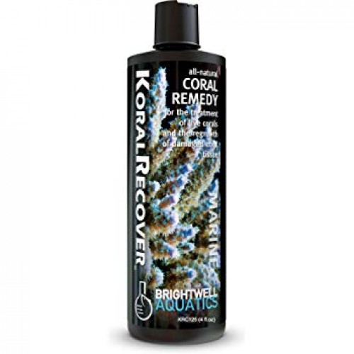 ARKA SALINCAK BURCU E39/E60