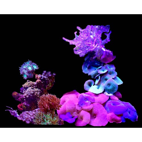 V KAYIŞ BİLYASI M113