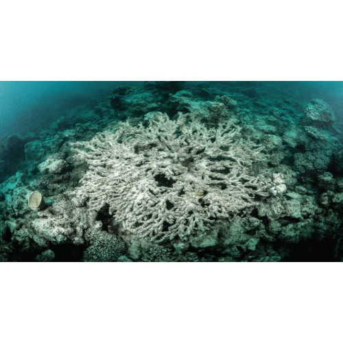 ASKI ROTU ÖN SAĞ CRAFTER 16>