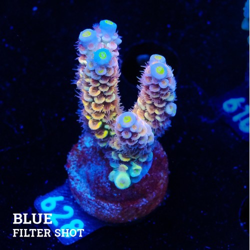 YAKIT GERİ DÖNÜŞ HORTUMU