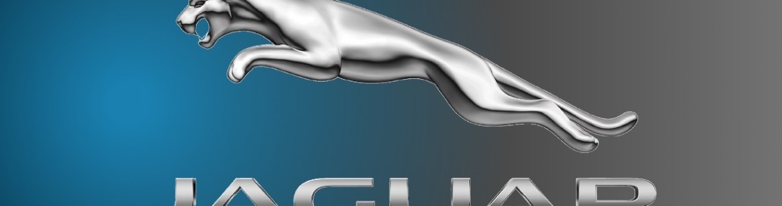 Şaşmaz Jaguar Yedek Parça